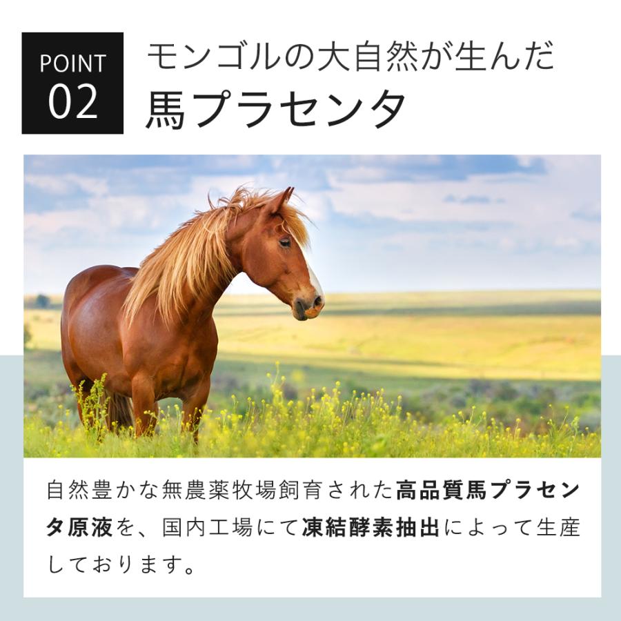 KISO 美容液 馬 プラセンタ 原液 100％ キソ プラセンタエキス 20ml 高 