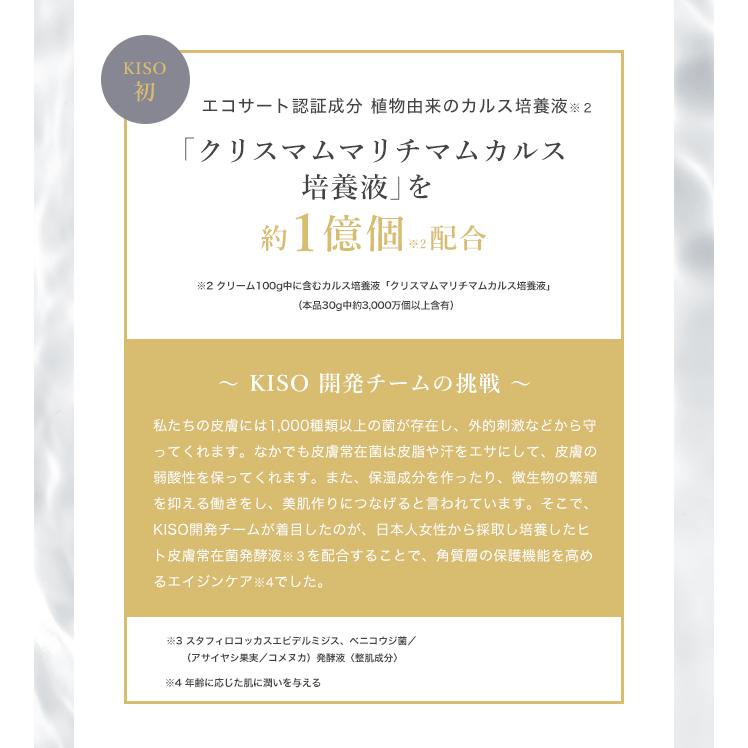 フェイスクリーム 国産 ヒト幹細胞培養液 ヒト皮膚脂肪細胞順化培養液エキス 15％配合 KISO キソ ステムセルフクリーム 30g 保湿 エイジングケア 弾力 No.047 | KISO | 07