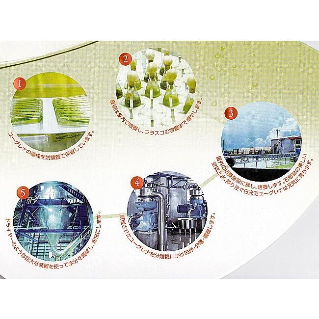 ユーグレナ ミドリムシ サプリメント バイオザイム 100粒 Da 001 吉祥 ヤフー店 通販 Yahoo ショッピング