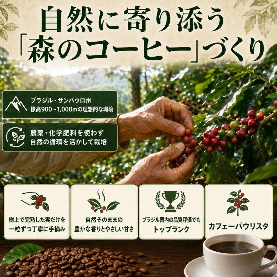 カフェーパウリスタ コーヒー 粉 6袋まとめ売り カフェーパウリスタ 森のコーヒー 豆 200g×6個 ブラジル産 日東珈琲