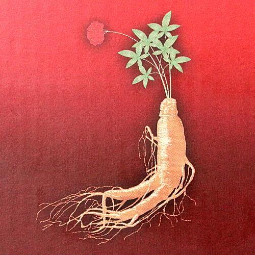 高麗人参 ドリンク 醗酵紅参 CK20 スーパーコンク ナチュラルケア 6年