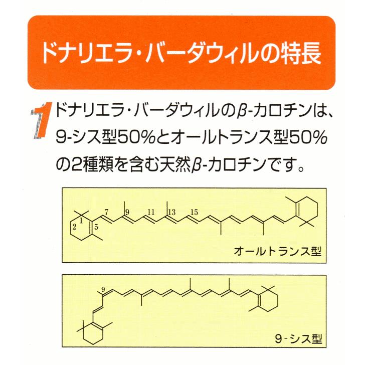 ドナリエラ ハードカプセル 日建総本社 200粒｜kisshou｜11