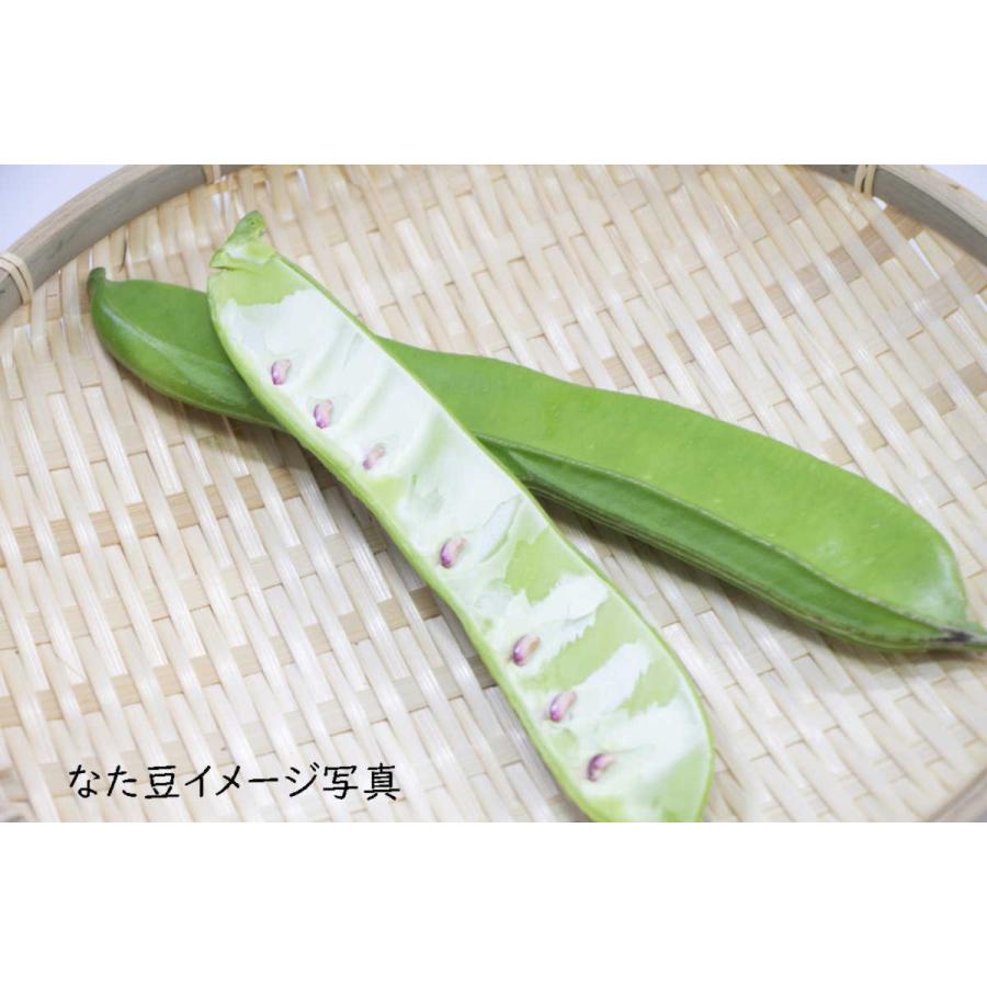 オーサワの有機なた豆茶 ノンカフェイン 6個 : 吉祥 ヤフー店 - 通販