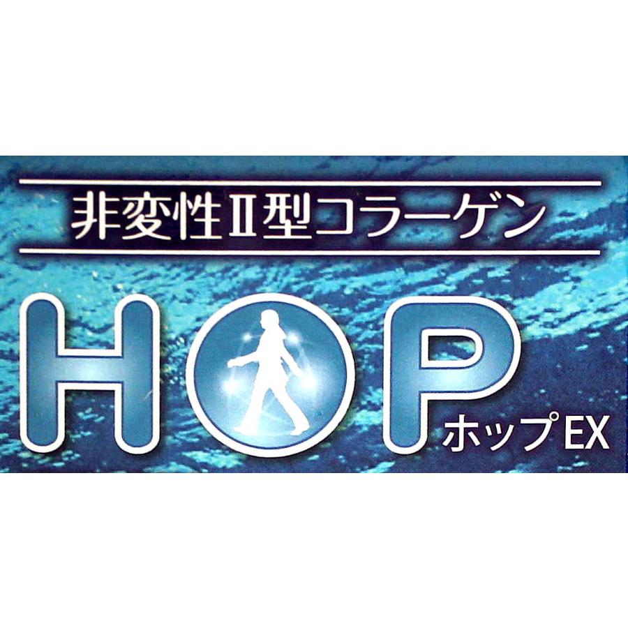 非変性II型コラーゲン スクワレン ハープシールオイル プレテオ 