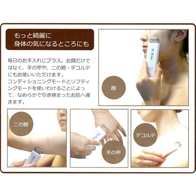 電子イオンローラー レゾアヴェーレR-1 レゾンの画像