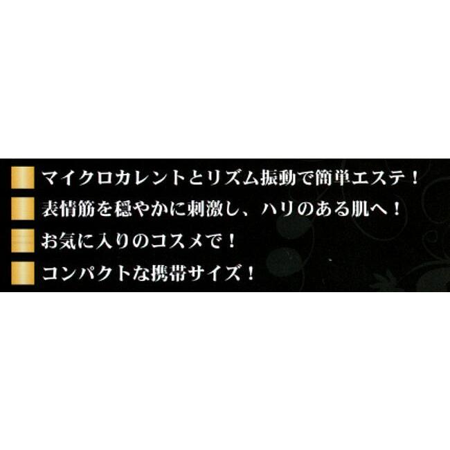 電子イオンローラー レゾアヴェーレR-1 レゾンの画像