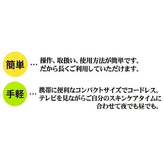 電子イオンローラー レゾアヴェーレR-1 レゾンの画像