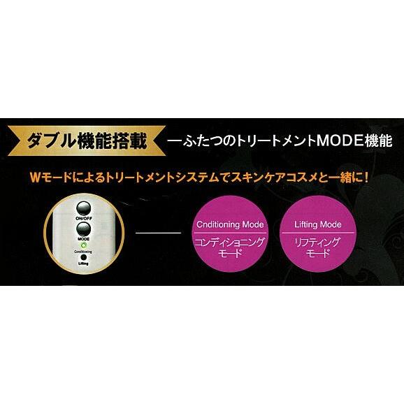 電子イオンローラー レゾアヴェーレR-1 レゾンの画像