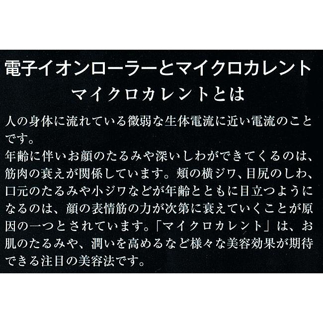電子イオンローラー レゾアヴェーレR-1 レゾンの画像