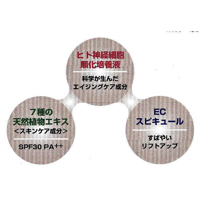 エステパートナー ハリファンデーション ナチュレ 15g 専用パフ2枚付