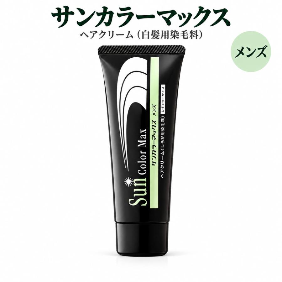 12AAM007 ⭐️新品未開封⭐️白髪染め　サンカラーマックス　メンズ サンカラーマックス メンズ 75g 専用クシ付き 白髪染め ノンジアミン