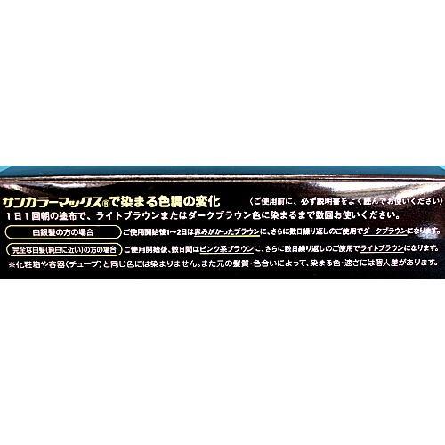 サンカラーマックス 白髪染め ケンコー 光で染める ヘアクリーム 白髪
