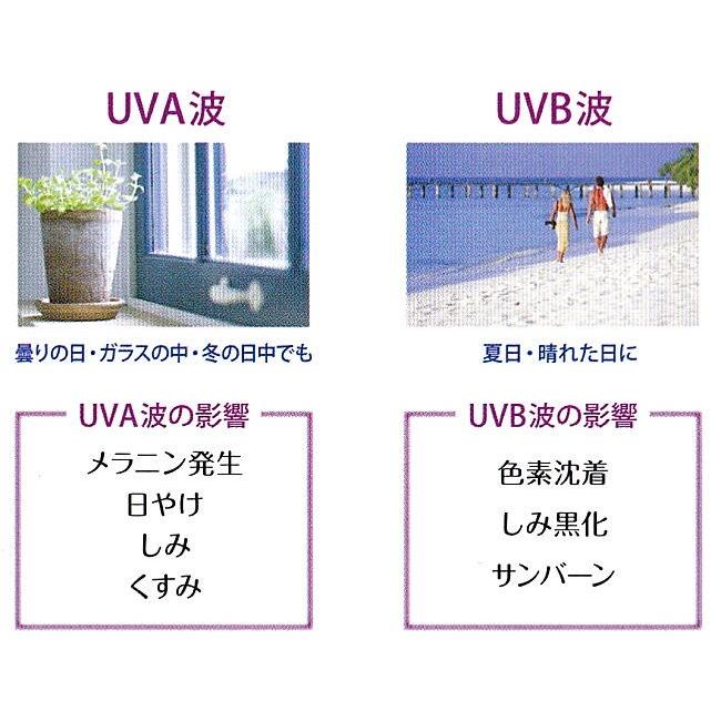 VIVANT JOIE ビーバンジョア 化粧品 日焼け止め 薬用 UV美白 VIVANT JOIE ビーバンジョア 化粧品 日焼け止め 薬用 UV美白