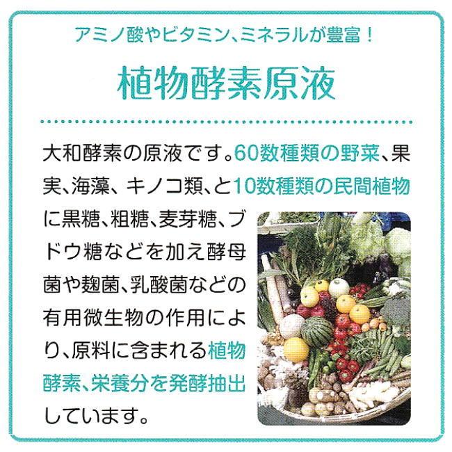 大和酵素 シェリール ロンガム種 ビフィズス菌 オオバコ種 サイリウム  酵素サプリ 30包｜kisshou｜10