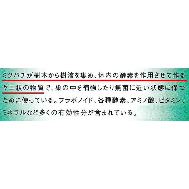 プロポリス のど飴 サンフローラ 蜂の恵み ユーカリ蜂蜜  10袋｜kisshou｜12