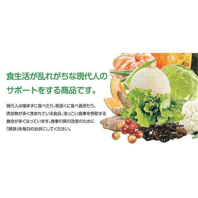 酵素サプリメント 大和酵素 酵源 こうげん 30包 : 吉祥 ヤフー店 酵素サプリメント 大和酵素 酵源 こうげん 30包 : 吉祥 ヤフー店