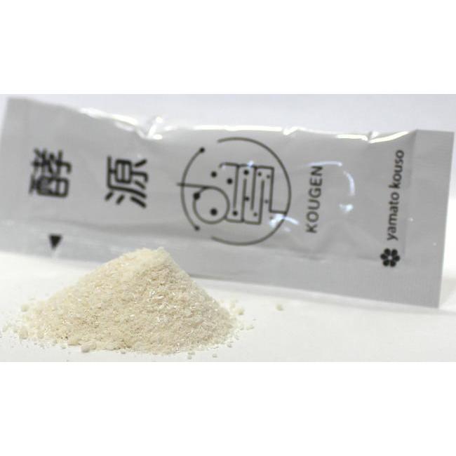 酵素サプリメント 大和酵素 酵源 こうげん 30包×2個_1