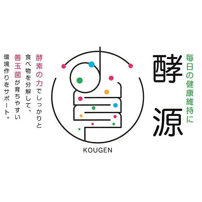 酵素サプリメント 大和酵素 酵源 こうげん 30包×2個_13
