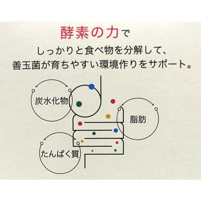 酵素サプリメント 大和酵素 酵源 こうげん 30包×2個_8