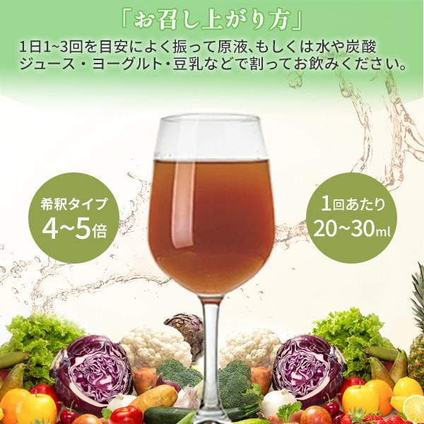 送料無料】【NEW】【公式】世界の果樹園 美ボディ酵素ドリンク（5倍