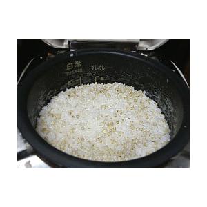 そばの実450g(北海道産蕎麦の実)抜き蕎麦 むきそば(国産ソバの実)ヌキ