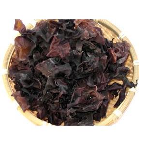 銀杏藻35g ぎんなん草 銀杏草 天然 北海道日高産 仏のみみ 福みみ ぎんなんそう 希少な逸品 味噌汁 福耳昆布 メール便対応 吉粋 通販 Yahoo ショッピング