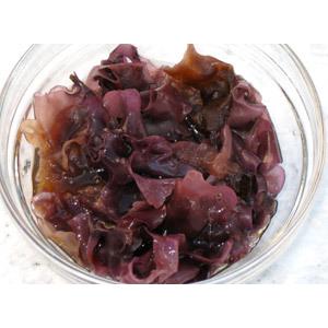 銀杏藻35g ぎんなん草 銀杏草 天然 北海道日高産 仏のみみ 福みみ ぎんなんそう 希少な逸品 味噌汁 福耳昆布 メール便対応 吉粋 通販 Yahoo ショッピング