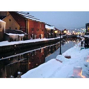 鰊の切り込み450g きりこみ ニシンの切込み 辛口 お得用 北海道の伝統珍味 にしんの糀漬け キリコミ 酒の肴 ご飯のお供 小樽かね丁鍛治 吉粋 通販 Yahoo ショッピング