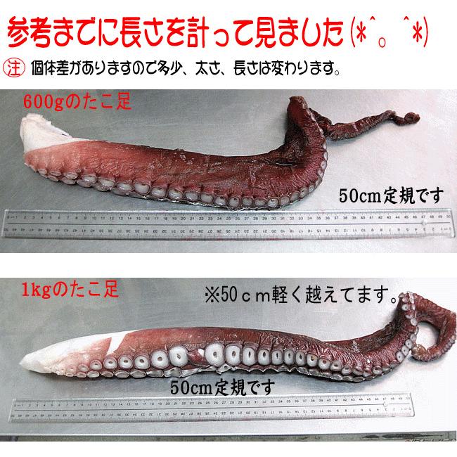 浜ゆでたこ足1本≪大≫600g オオダコ(北海道産刺身タコ-水だこ 浜ゆでたこ足1本≪大≫600g オオダコ(北海道産刺身タコ-水だこ