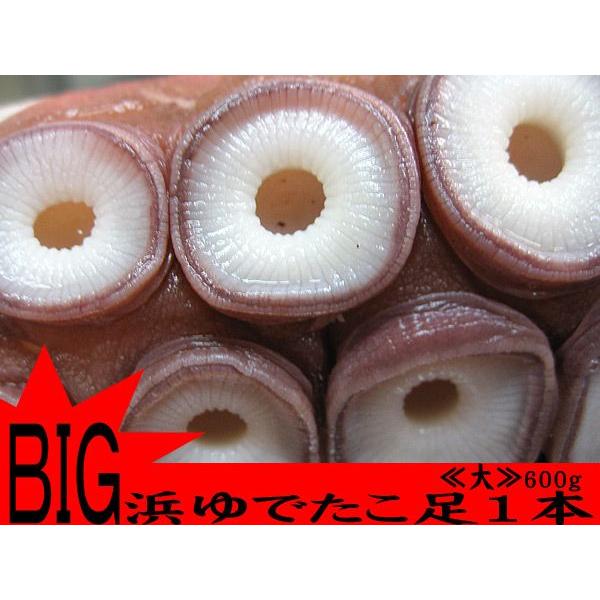 浜ゆでたこ足1本≪大≫600g オオダコ(北海道産刺身タコ-水だこ) ミズダコ 稚内 水ダコ 水蛸 【送料無料】｜kissui｜06