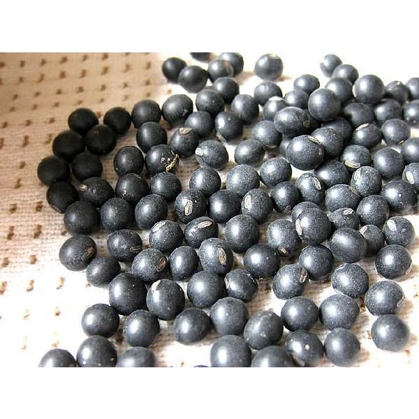 黒豆大豆 黒豆(黒大豆)900g | 吉粋(きっすい) 北海道から全国へ