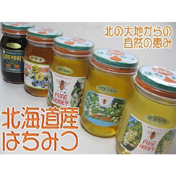 シナノキ蜂蜜 600g 化粧箱入り(シナノキはちみつ)北海道産シナノキ