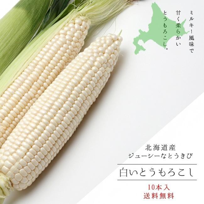 白いとうもろこし 北海道産直！朝もぎ、とうきび【10本】限定販売