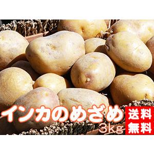 インカのめざめ 3kg (サイズ無選別) 栗の様な甘いじゃがいも インカの