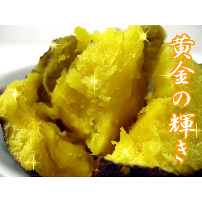 インカのひとみ 3kg サイズ無選別 インカのめざめの新品種 栗の様な甘いじゃがいも インカの瞳 北海道産ジャガイモ 送料無料 只今発送中 吉粋 通販 Yahoo ショッピング