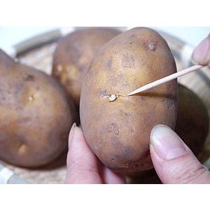 インカのひとみ＆インカのめざめセット (各2.5kg 合計5kg サイズ無選別