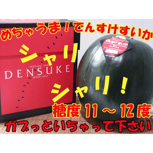 でんすけすいか (最高ランク 秀品 7〜8kg) 日本農業賞大賞受賞 北海道