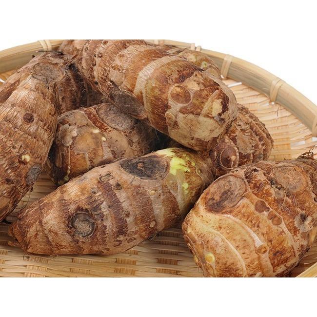 里芋水煮170g 4袋 下ゆで里いも 国産サトイモ使用 簡単 便利 水煮 煮物 汁物 うま煮 下茹で里芋 下処理不要さといも Bk 吉粋 通販 Yahoo ショッピング