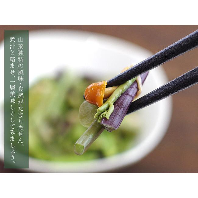 山菜ミックス 70g×6個 (みず・わらび・えのき・たけのこ・なめこが入っ