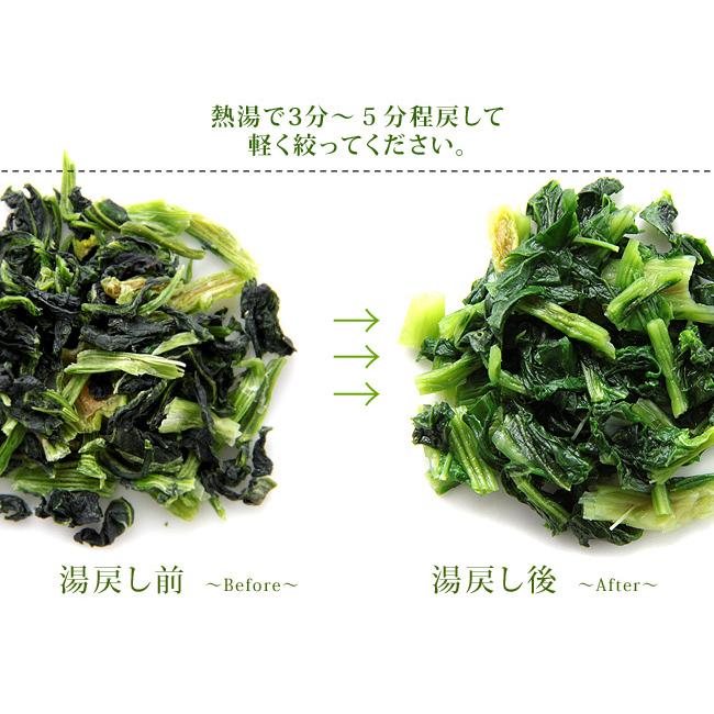 乾燥大根菜g 国内産原料使用 だいこん菜を熱湯で戻すだけの簡単調理 乾燥野菜 国産大根葉 保存食 味噌汁の具にも重宝します メール便対応 Bk 吉粋 通販 Yahoo ショッピング