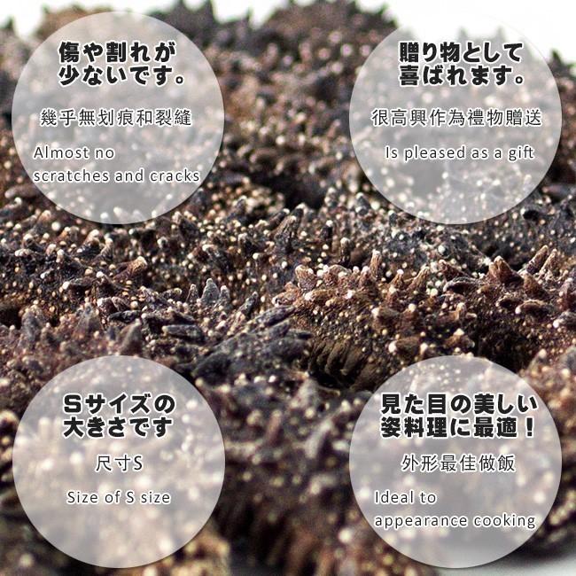 乾燥ナマコ特A級品Sサイズ500g 1本4g〜6g前後(特Aランク)北海道産乾燥なまこ 金ん子干し海鼠！北海キンコ 海参 海参皇 干しなまこの画像