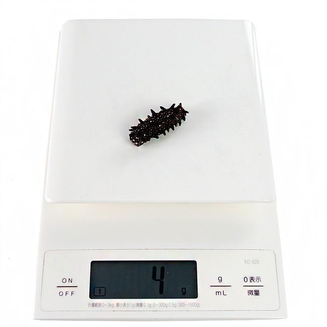 乾燥ナマコ特A級品Sサイズ500g 1本4g〜6g前後(特Aランク)北海道産乾燥なまこ 金ん子干し海鼠！北海キンコ 海参 海参皇 干しなまこの画像