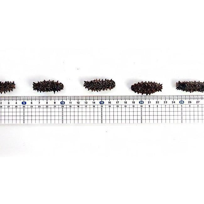 乾燥なまこ 97375419.jpg?cmsp_timestamp=