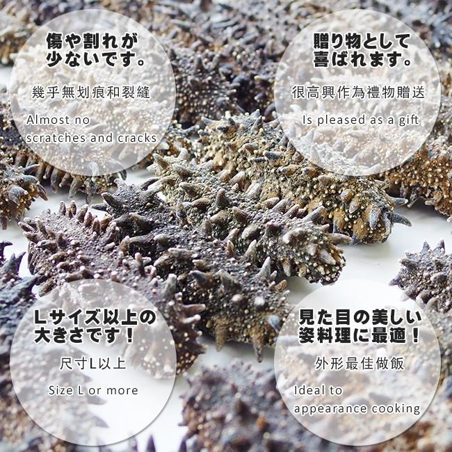 乾燥ナマコ 特A級品 1kg Lサイズ以上 (特Aランク) 北海道産乾燥なまこ 金ん子 (中華高級食材) 干し海鼠 北海キンコ 送料無料の画像