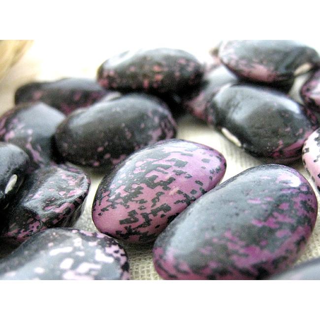 花まめ甘納豆 アントシアニンを含むスイーツ ベニバナインゲンマメの