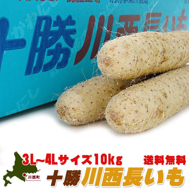 十勝川西長いも10kg(3L〜4Lサイズの長芋)真っ白できめ細かい肉質の
