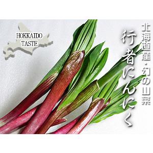 行者にんにく50g×2パック(北海道産)ハウス栽培 (ヒトビロ 行者にんにく50g×2パック(北海道産)ハウス栽培 (ヒトビロ