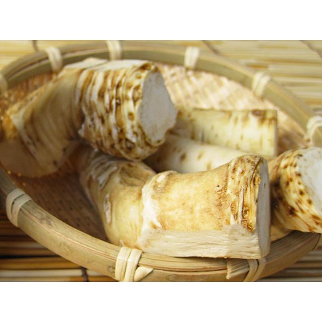 山わさび(70g〜100g)×3パック(北海道産山山葵) ホースラディッシュ
