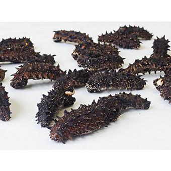 乾燥ナマコ B級品 1kg (Bランク) 北海道産乾燥なまこ 金ん子 (中華高級食材) 干し海鼠 北海キンコ 海参！送料無料_6