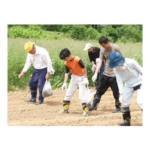 牡丹玄蕎麦900g（ぼたんそばの種）北海道産 生産量の少ない幻の品種 ボタンソバ 玄そば 厳選大粒 家庭菜園 スプラウト 50坪用【メール便対応】令和5年度産｜kissui｜09